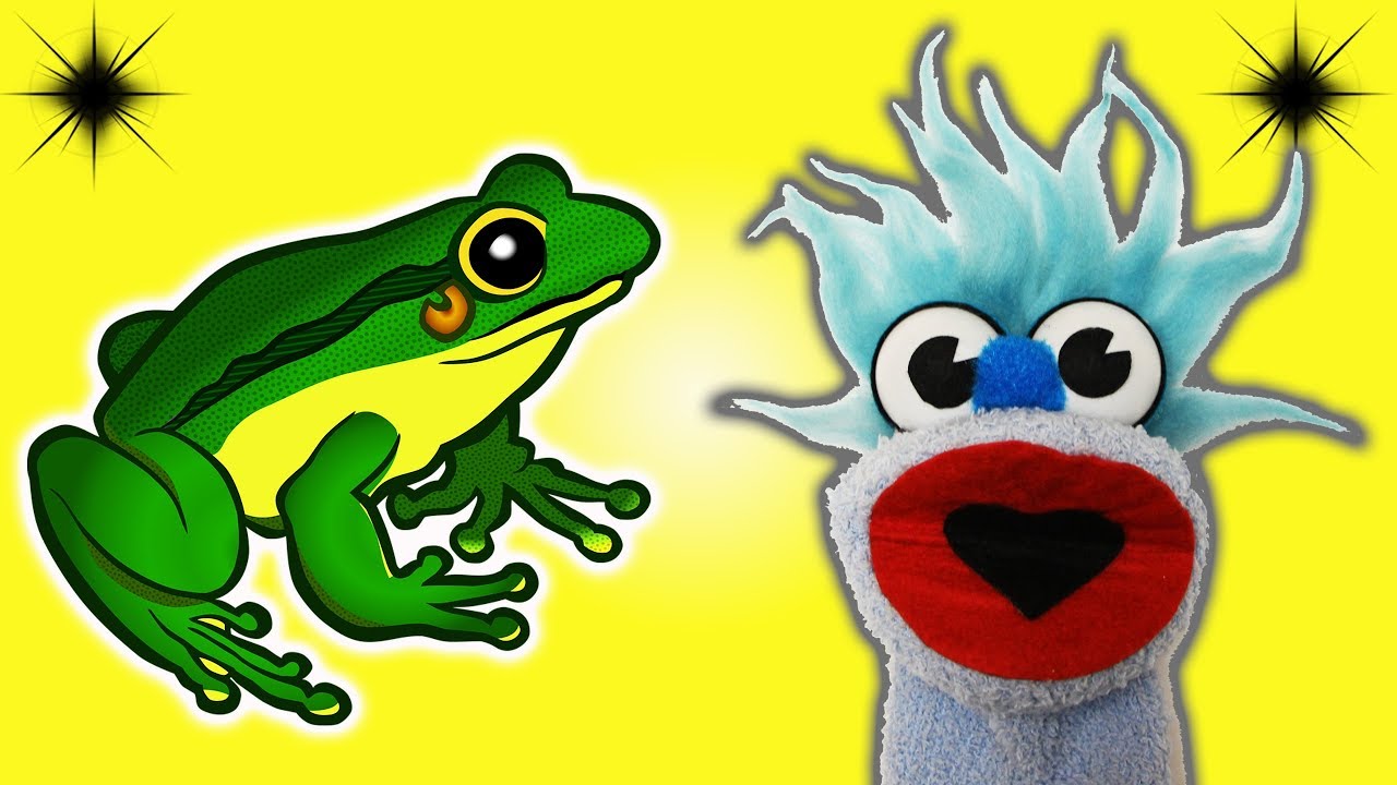 funny frog videos for kids